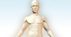 WebMD Android App Has Potential but Needs Work