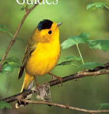 Audubon Birds, a Real Sweet Tweet for Your Android
