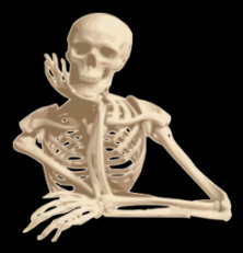 Human Anatomy: Now Shake Them Skeleton Bones