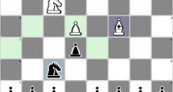 Chess Mates: Calling All Chess Lovers