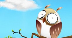 Show a Wild Side with Wildy Live Wallpaper