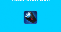 Shock Your Way Through Fun with Taser Stun Gun
