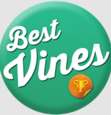 Vine Videos: Bringing the Creme of the Crop to You Daily