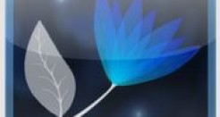Enlighten Your Android Device’s Home Screen with Night Flowers Live Wallpaper