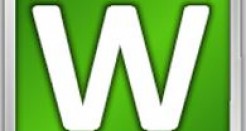 Lingo with a Twist: Wordgo