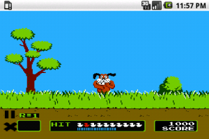 Duck Hunt