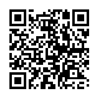 Moon Chaser QR Code