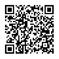 tin bee qr code