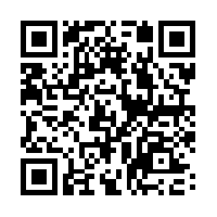 Diversion QR Code