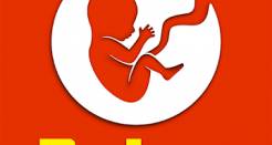 BitLife Gets You Thinking While You Play at Life